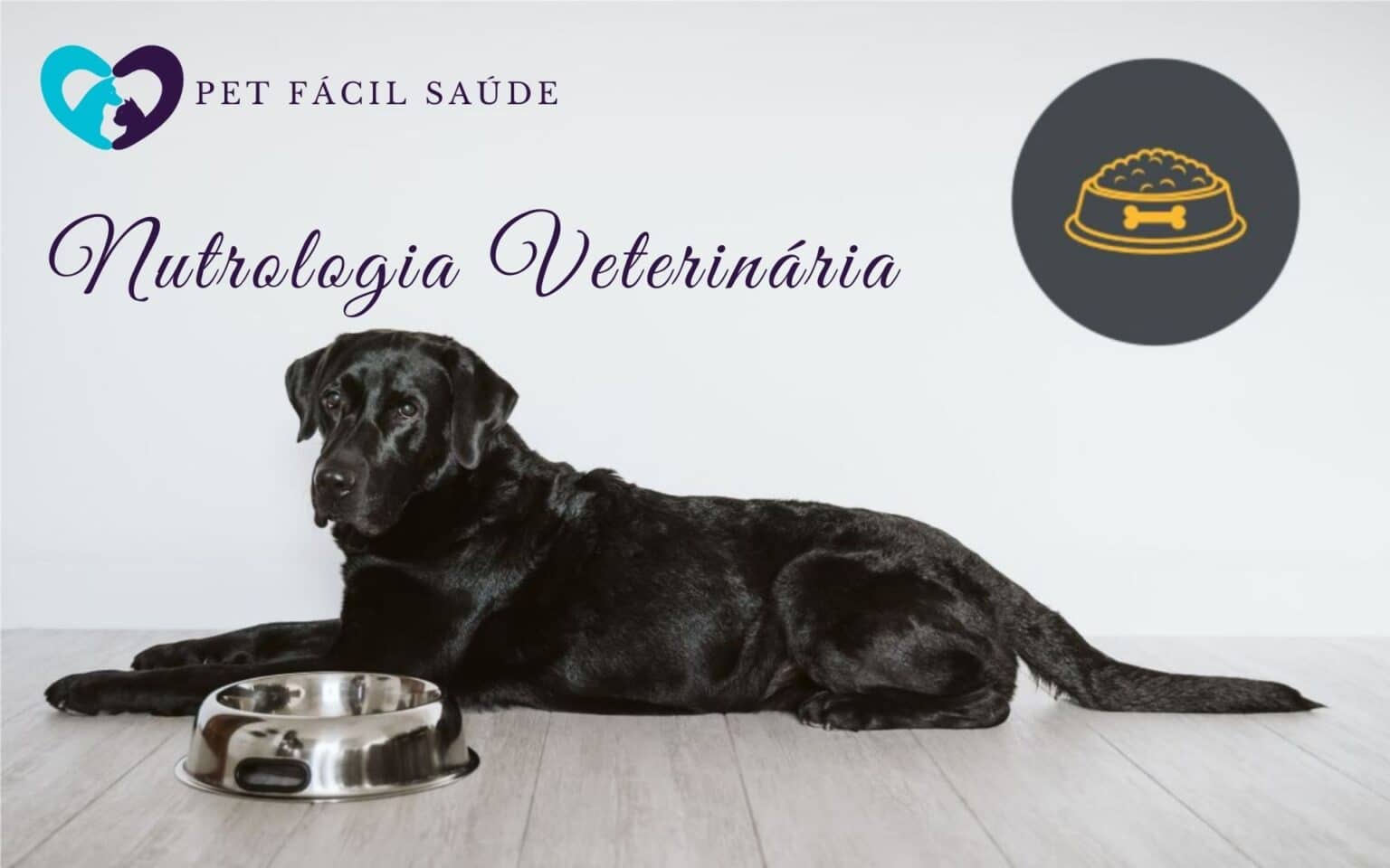 Nutrologia Veterinária em Campinas
