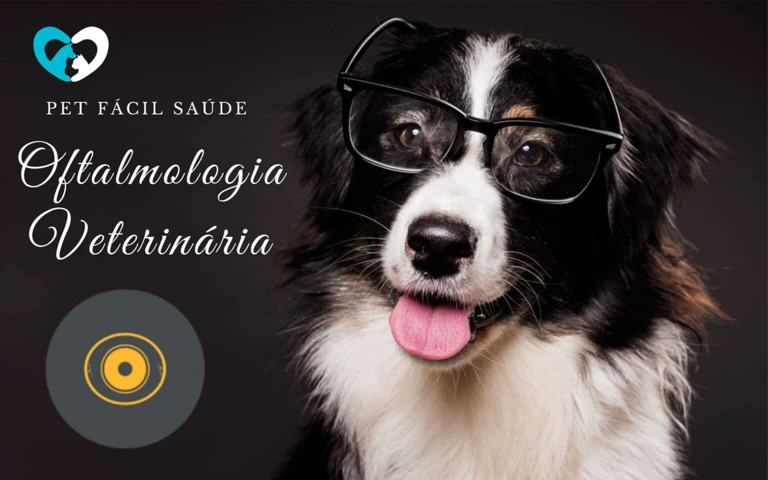 Oftalmologia Veterinária em Campinas