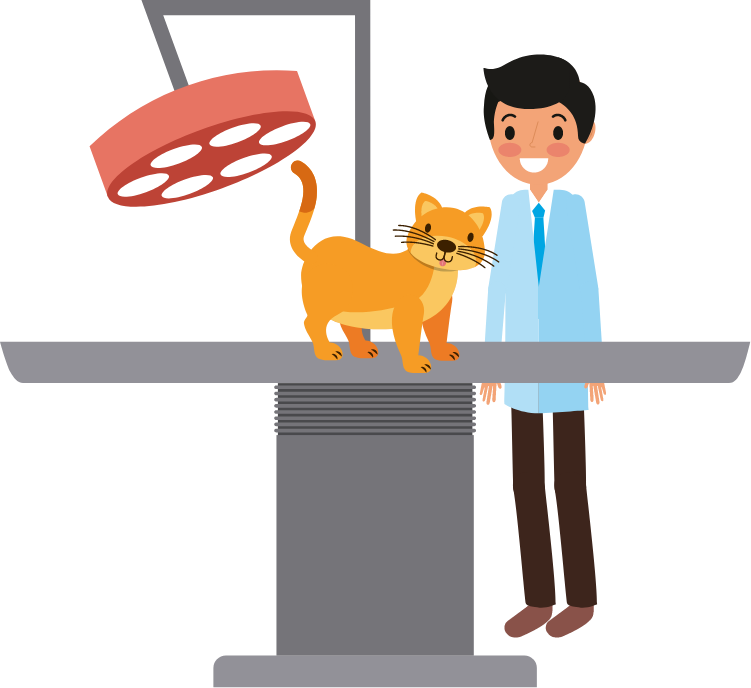 Consulta veterinária com horário agendado